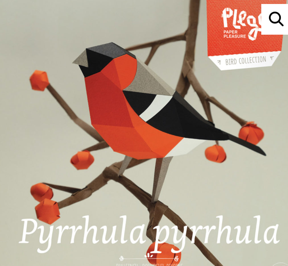Pyrrhula  pyrrhula - Paper Bird 3D
