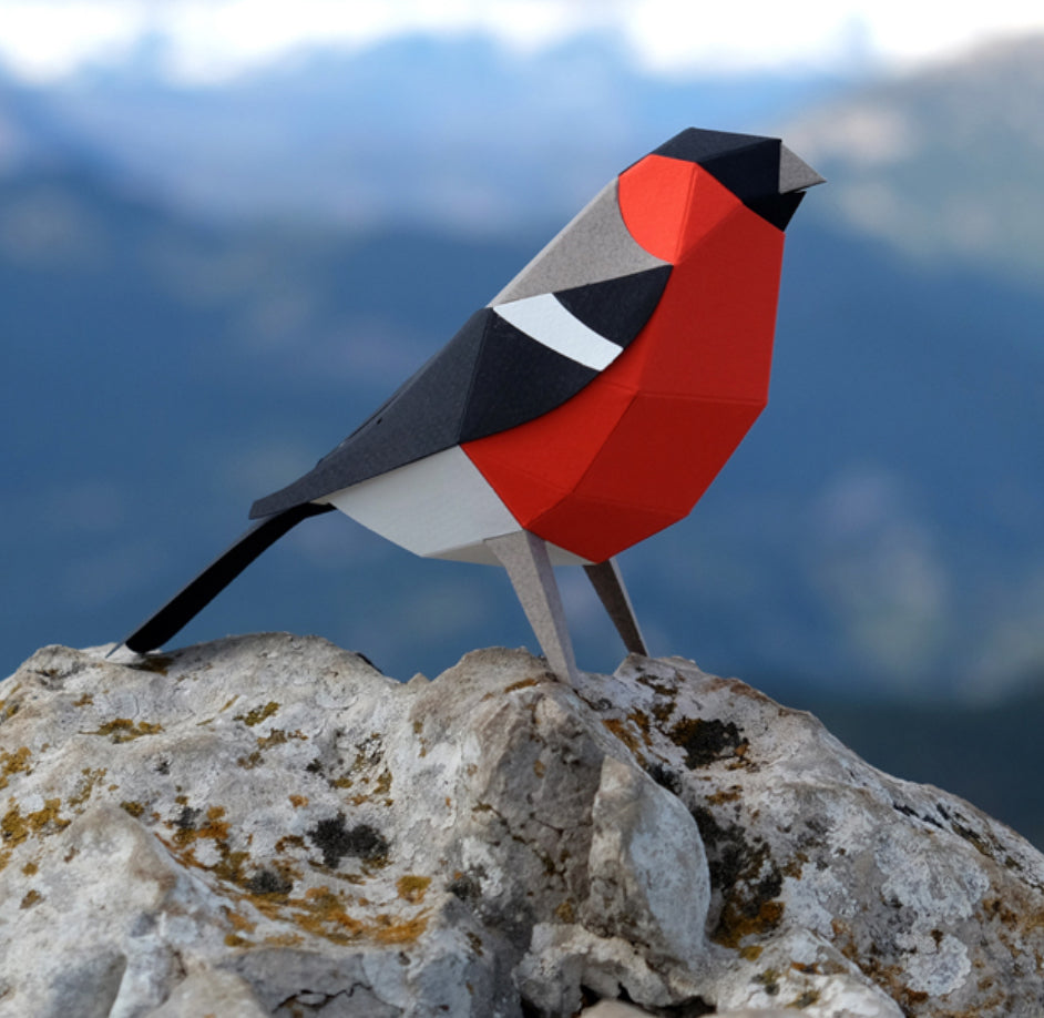 Pyrrhula  pyrrhula - Paper Bird 3D