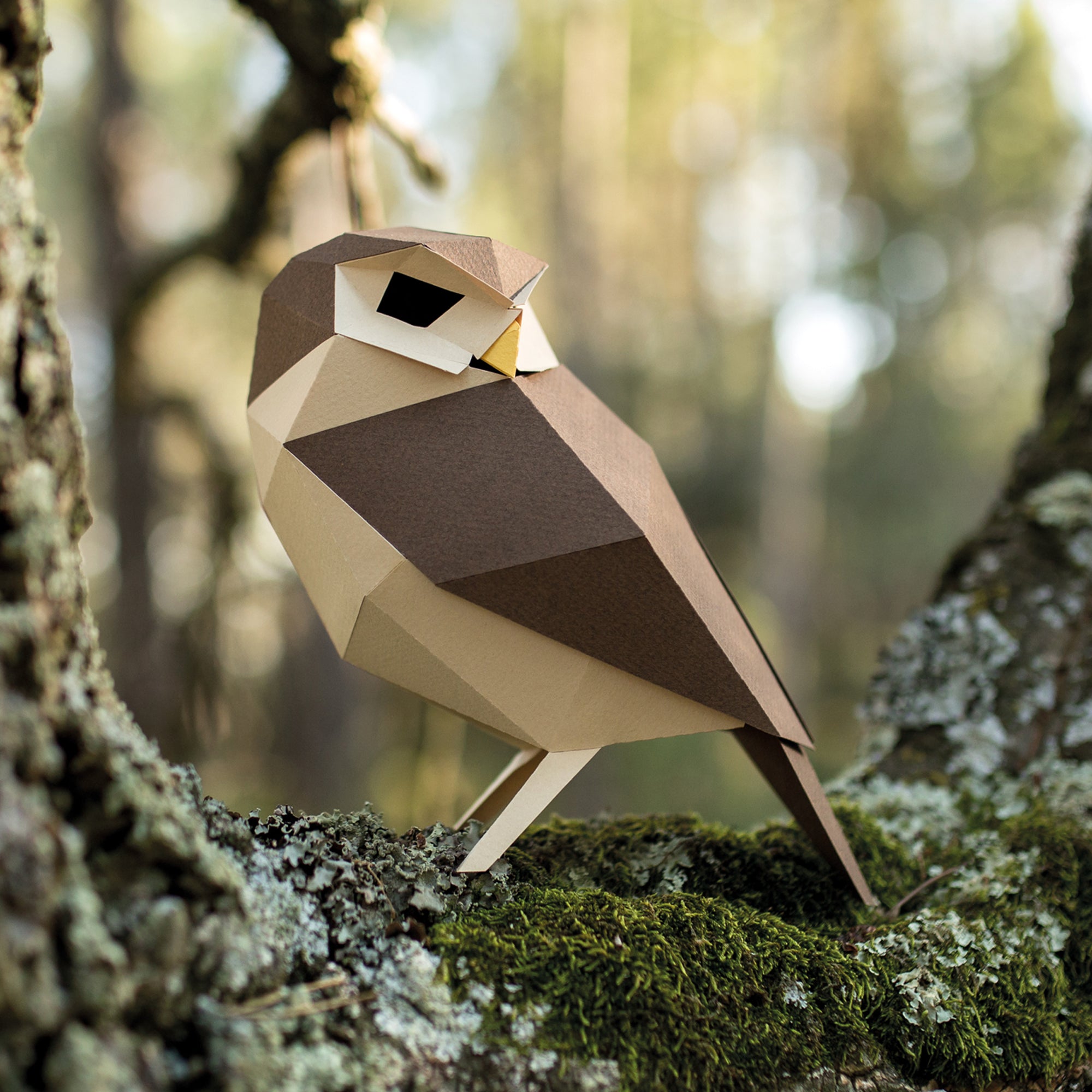 Coruja "Athene Noctua" - Paper Bird 3D