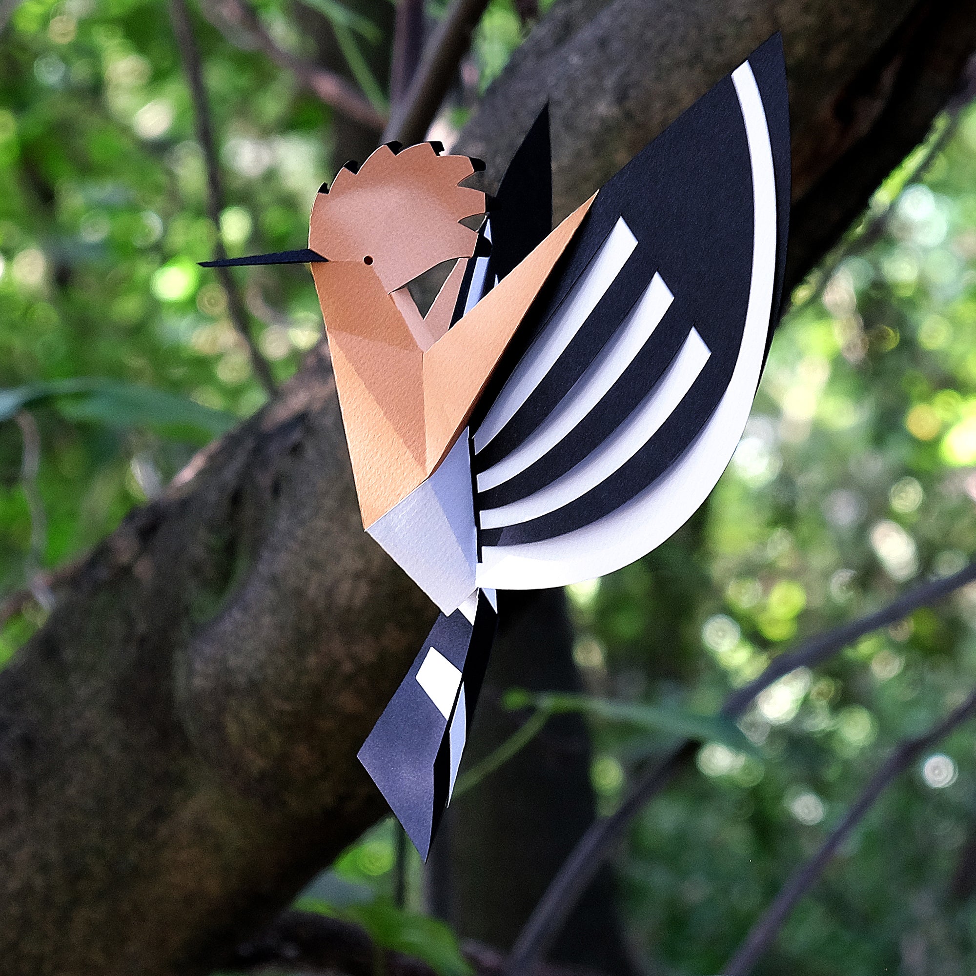Poupa  "Upupa epops" - Paper Bird 3D