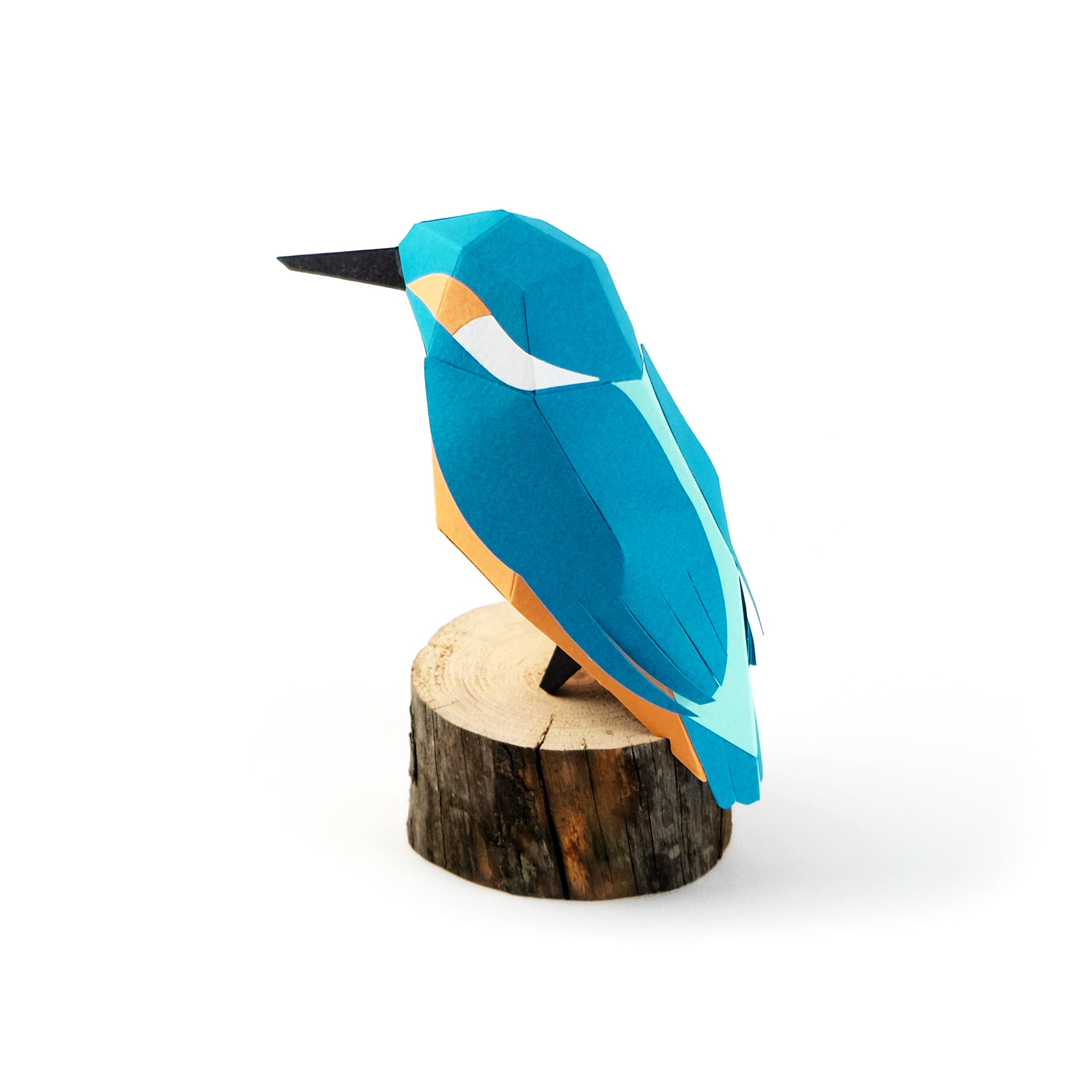 Martim Pescador - Paper Bird 3D