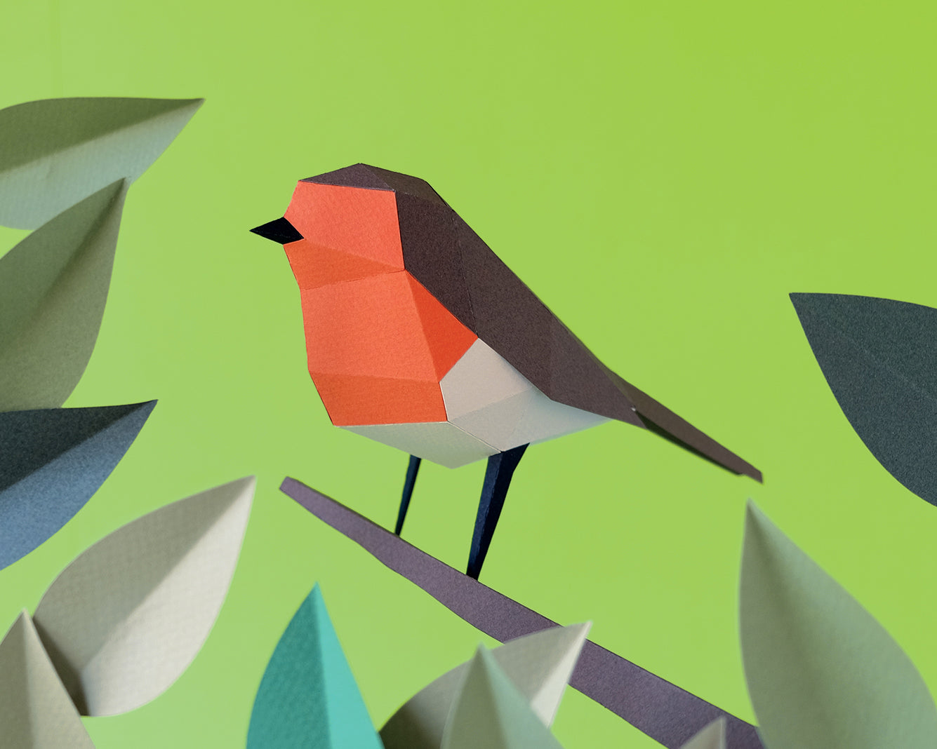 Robin Europeu - Paper Bird 3D